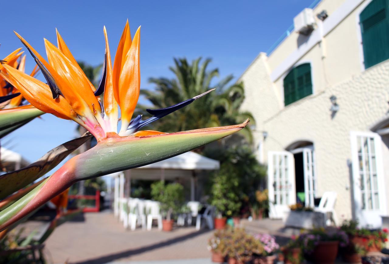 Albergo Ristorante Lucciola Santo Stefano al Mare Extérieur photo